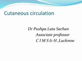 Cutaneous Circulation and Blood Supply in Different Body Regions