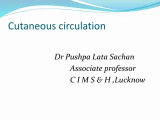 Understanding Cutaneous Circulation and Blood Supply in Different Body Regions
