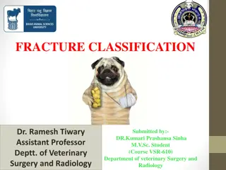 Fracture Classification in Veterinary Medicine