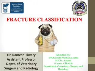 Understanding Fracture Classification in Veterinary Medicine