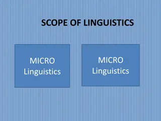 Overview of Micro and Macro Linguistics