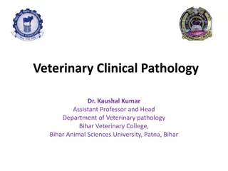 Overview of Veterinary Clinical Pathology and Importance of Anticoagulants