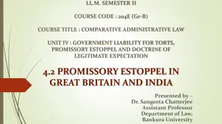 Understanding Promissory Estoppel in Comparative Administrative Law