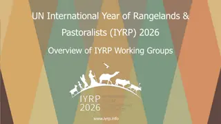 UN International Year of Rangelands & Pastoralists 2026: Working Group Overview