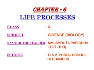 Exploring Life Processes in Science Class X with Mrs. Amruta Parichha