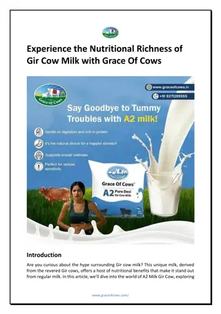 Grace Of Cows