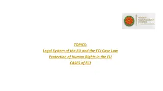 Legal System of the EU: Case Law and Human Rights Protection