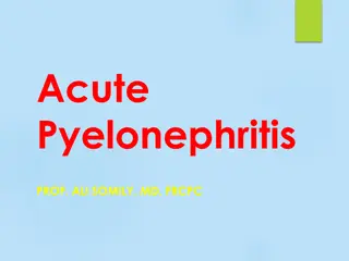 Overview of Acute Pyelonephritis: Diagnosis, Treatment, and Epidemiology