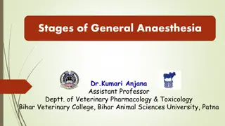 Stages of General Anaesthesia in Veterinary Practice