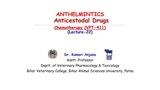 Overview of Anticestodal Drugs in Veterinary Pharmacology
