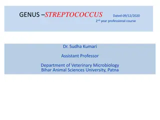 Overview of Streptococcus Bacteria and Classification
