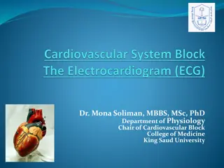 Understanding the Normal Electrocardiogram (ECG) in Cardiovascular Physiology