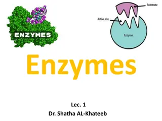 Enzymes: The Key Catalysts in Biochemical Reactions