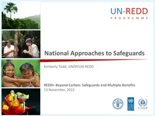 National Approaches to Safeguards in REDD+ Implementation