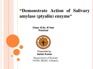 Demonstration of Salivary Amylase Enzyme Action in B.Sc. Practical