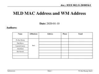 IEEE 802.11-20/0054r1 MLD MAC Address and WM Address