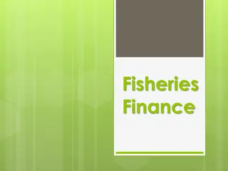 Fisheries Finance: Macro vs. Micro Level Perspectives