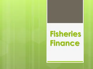 Understanding Fisheries Finance: Macro vs. Micro Level Perspectives