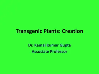 Transgenic Plants and Agrobacterium Tumefaciens in Plant Biotechnology