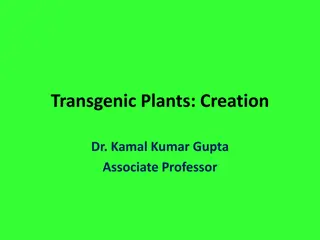 Understanding Transgenic Plants and Agrobacterium Tumefaciens in Plant Biotechnology