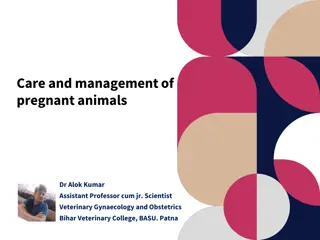 Care and Management of Pregnant Animals in Veterinary Practice