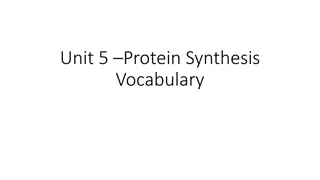 Understanding Protein Synthesis Process