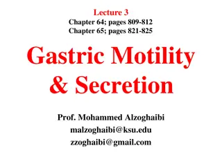 Gastric Motility and Secretion in the Stomach