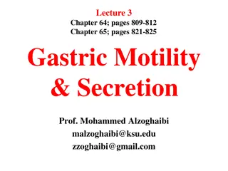 Understanding Gastric Motility and Secretion in the Stomach