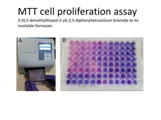 MTT Cell Proliferation Assay: Protocol and Applications