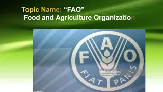 Overview of FAO - Food and Agriculture Organization