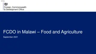 Official FCDO Priorities in Malawi's Food and Agriculture Sector