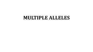 Multiple Alleles in Genetics