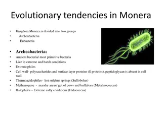 Evolutionary Trends in Monera Kingdom: Archaebacteria, Eubacteria, and Actinomycetes