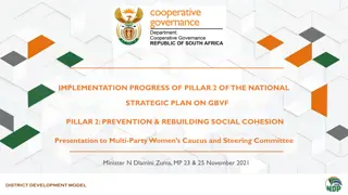Progress Update on Pillar 2 of the National Strategic Plan on GBVF