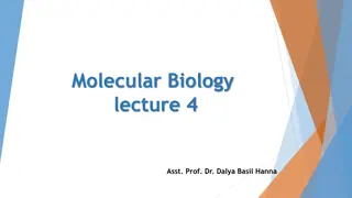 Gene Mutations in Molecular Biology