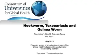 Overview of Hookworm, Toxocariasis, and Guinea Worm Infections