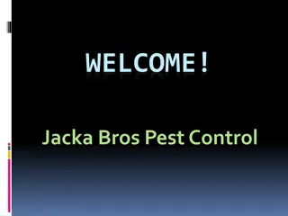 Best service for Pest Exterminator in Geelong