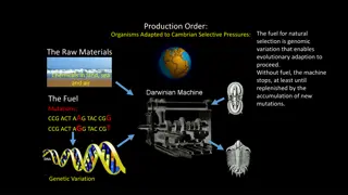 Insights into Evolutionary Adaptation and Genetic Variation