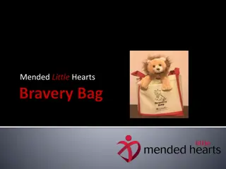 Evolution of the Bravery Bag Program by Mended Little Hearts