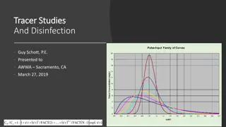 Tracer Studies and Disinfection in Water Treatment