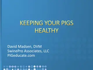 Keeping Your Pigs Healthy: Essential Tips and Advice