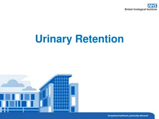 Understanding Urinary Retention: Causes, Symptoms, and Management