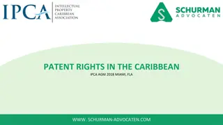 Patent Rights in the Caribbean - Overview and Opportunities for Inventors