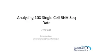 Understanding 10X Single Cell RNA-Seq Analysis