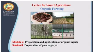 Organic Farming: Preparation of Panchagavya for Plant Growth