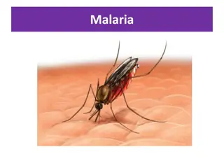 Malaria: Causes, Symptoms, Treatment, and Prevention