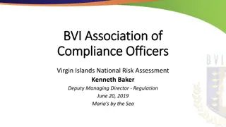 Risk Assessment and Regulatory Compliance in the British Virgin Islands