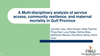 A Multi-disciplinary Analysis of Service Access, Community Resilience, and Maternal Mortality in Gulf Province