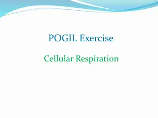 Explore Cellular Respiration Through POGIL Activities