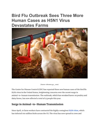 Bird Flu Outbreak  H5N1 Virus Devastates Farms